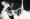 ivan-hermawan-538353-unsplash ivan-hermawan-538353-unsplash
