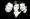Brahms Fest Brahms Fest