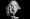 Judy-Collins1 Judy-Collins1