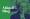 Green Navy Abigail Blog Tile3 Green Navy Abigail Blog Tile3