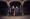 Piatti Quartet Piatti Quartet